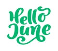 Hello june lettering print vector text. Summer minimalistic illustration. Isolated calligraphy phrase on white Royalty Free Stock Photo