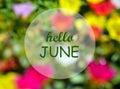 Hello June.Welcoming card with text on natural blurred floral background.Summertime concept.