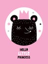 Hello Little Princess. Funny Baby Shower Vector Illustration. Royalty Free Stock Photo