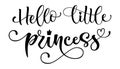 Hello Little princess quote. Baby shower hand drawn modern calligraphy vector lettering, grotesque style text logo phrase Royalty Free Stock Photo