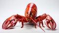 Hello lobster isolated on white background. Generative Ai Royalty Free Stock Photo