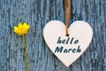 Hello March greeting card with decorative white heart and yellow spring flower on old blue wooden background.