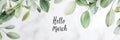 Hello march greeting with green leaves surrounding text on light background Royalty Free Stock Photo