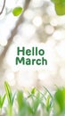 Hello march greeting with green leaves surrounding text on light background Royalty Free Stock Photo