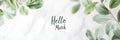 Hello march greeting with green leaves surrounding text on light background Royalty Free Stock Photo