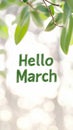 Hello march greeting with green leaves surrounding text on light background Royalty Free Stock Photo