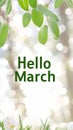 Hello march greeting with green leaves surrounding text on light background Royalty Free Stock Photo