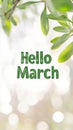 Hello march greeting with green leaves surrounding text on light background Royalty Free Stock Photo