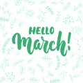 Hello,March - hand drawn lettering phrase for first month of spring isolated on the white background with flowers and brunches. Fu Royalty Free Stock Photo