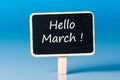 Hello March - inscription about spring beginning at litle wooden tag at blue background