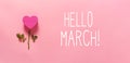 Hello March message with heart flower