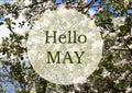 Hello May greeting card with apple blossom spring flowers.Springtime concept. Royalty Free Stock Photo