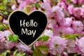 Hello May greeting card with decorative heart and pink spring flowers.Springtime concept with copy space. Royalty Free Stock Photo