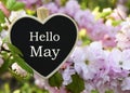 Hello May greeting card with decorative heart and pink spring flowers.Springtime concept