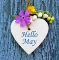 Hello May greeting card with decorative white heart and spring flowers on old blue wooden background. Royalty Free Stock Photo