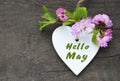 Hello May greeting card with pink sakura or cherry spring flowers and decorative heart on old wooden background. Royalty Free Stock Photo