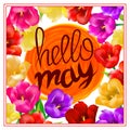 Hello may hand Lettering with tulip flower. Vector illustration EPS10 Royalty Free Stock Photo