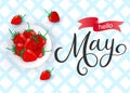 Hello May handwritten lettering with sweet strawberries vector illustration.