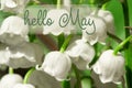 Hello May lettering card. lilies of the valley