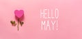 Hello May message with heart flower