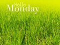 Hello monday - inspirational motivation quote