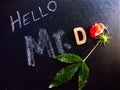hello mr d words displaying with flower and leaf on chalkboard