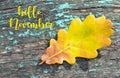 Hello November.Colorful autumn background with yellow oak tree leaf on a blue colored old wooden texture. Royalty Free Stock Photo
