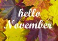 Hello November.Colorful maple leaves.Autumn concept.Fall season background. Royalty Free Stock Photo