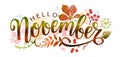 Hello November. Handwritten lettering with autumn leaves. Word for typography, postcard, calendar, monthly organizer. Royalty Free Stock Photo