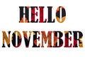 Hello november lettering sign from autumn leaves isolated on white background Royalty Free Stock Photo