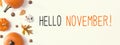 Hello November message with autumn pumpkins Royalty Free Stock Photo