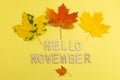 Hello November - text and autumn leaves on a pastel background. Autumn background