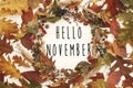 Hello November text on autumn wreath flat lay. Fall leaves in ci