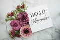 Hello November text with pink flower bouquet on marble background