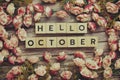 Hello October alphabet letters with pink flower decoration on wooden background