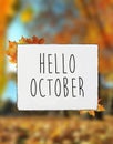 Hello October autumn text on white plate board banner fall leav