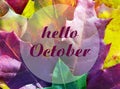 Hello October.Colorful maple leaves background with text.Autumn concept.Fall season.