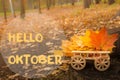 Hello October greeting card. Autumn maple leaves background