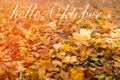 Hello October greeting card. Autumn maple leaves