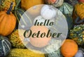 Hello October greeting card with colorful pumpkins.Autumn harvest,Halloween or Thanksgiving concept.