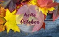 Hello October greeting with colorful autumn maple leaves on old wooden background. Fall season banner.