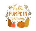 Hello pumpkin season cute colorful composition with quote inscription vector flat illustration. Colorful autumn hand