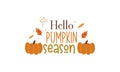 Hello Pumpkin Season Cute Hand Drawn Vector