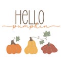 Hello pumpkin. Seasonal square template with motivation quote and pumpkins in minimalist style. Hand drawn lettering Royalty Free Stock Photo