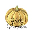 Hello Pumpkin sign over watercolor pumpkin