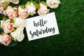 Hello Saturday Card and Roses flower with space copy background