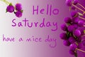 hello saturday have a good day message card handwriting with purple flowers globe amaranth
