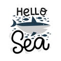 Hello sea lettering, shark and fish, vector illustration