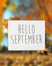 Hello September autumn text on white plate board banner fall lea