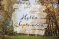Hello September banner. New month. Greeting card. Golden autumn. The text in the photo. Trees in the park. City Park. Autumn Park Royalty Free Stock Photo